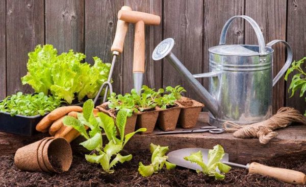 clean gardening tools next to a wooden fence